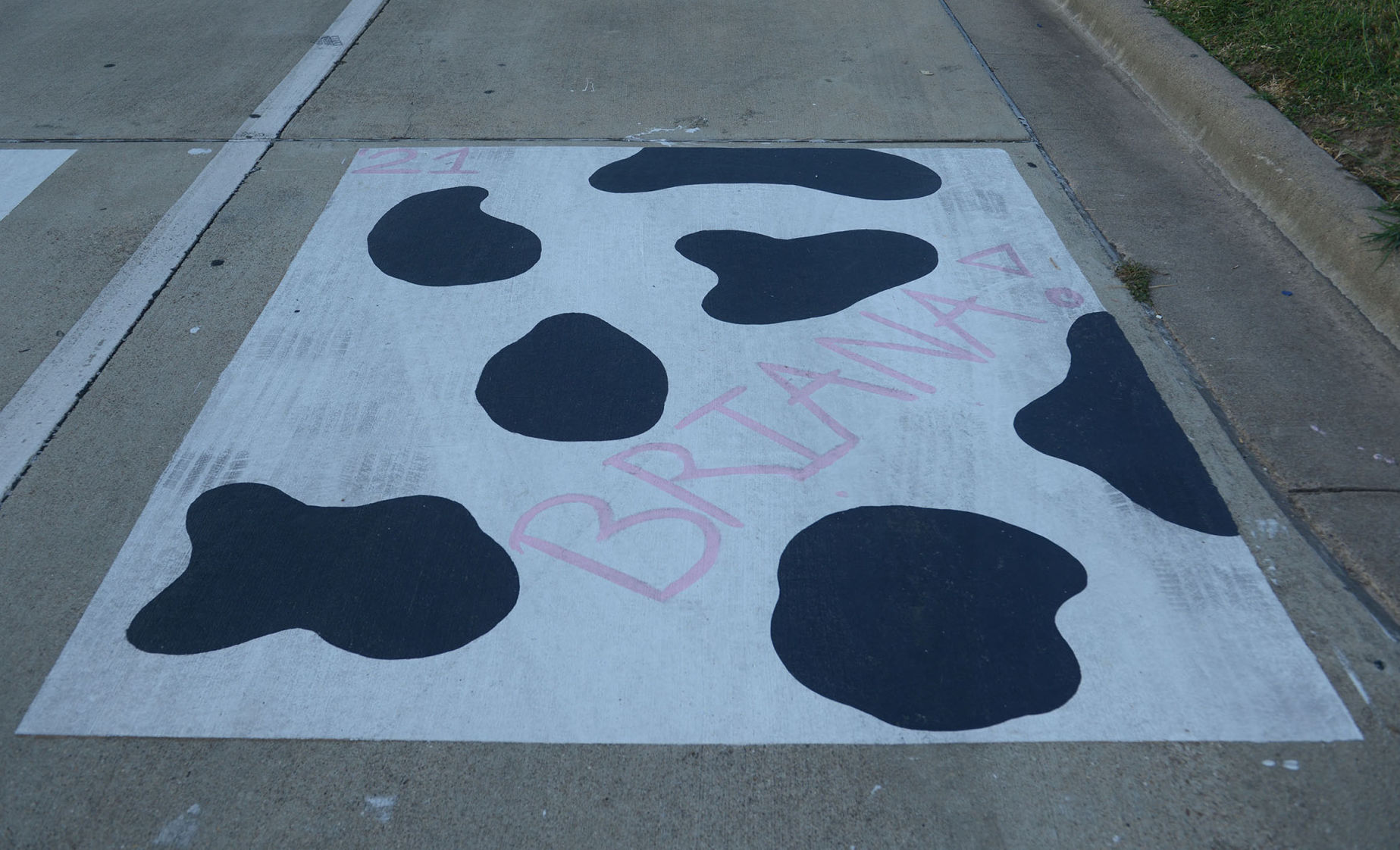 A&M Consolidated HS painted parking spots